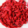 New Harvest Dried Goji Berries